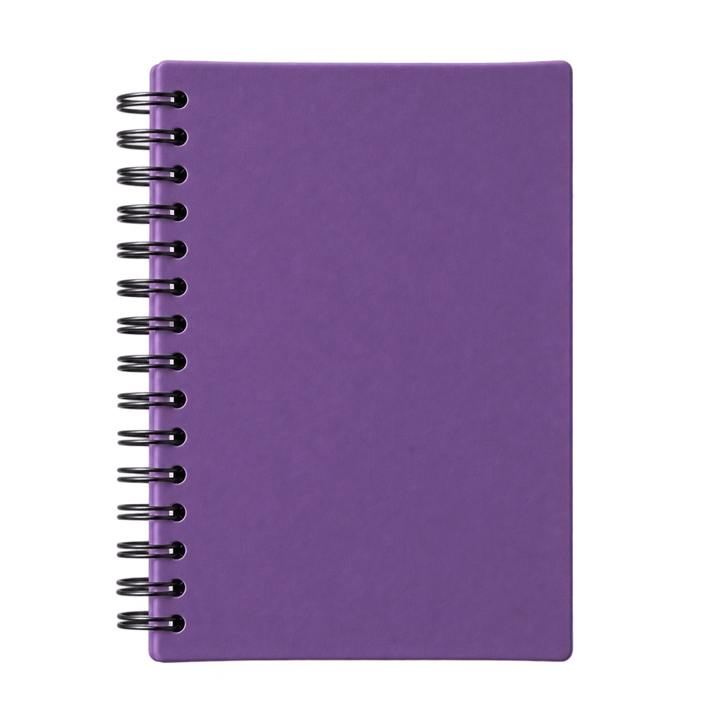 Agenda Diária 2027