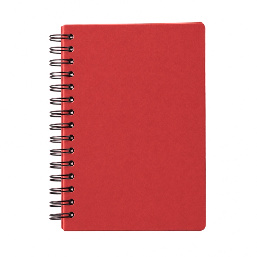 Agenda Diária 2027
