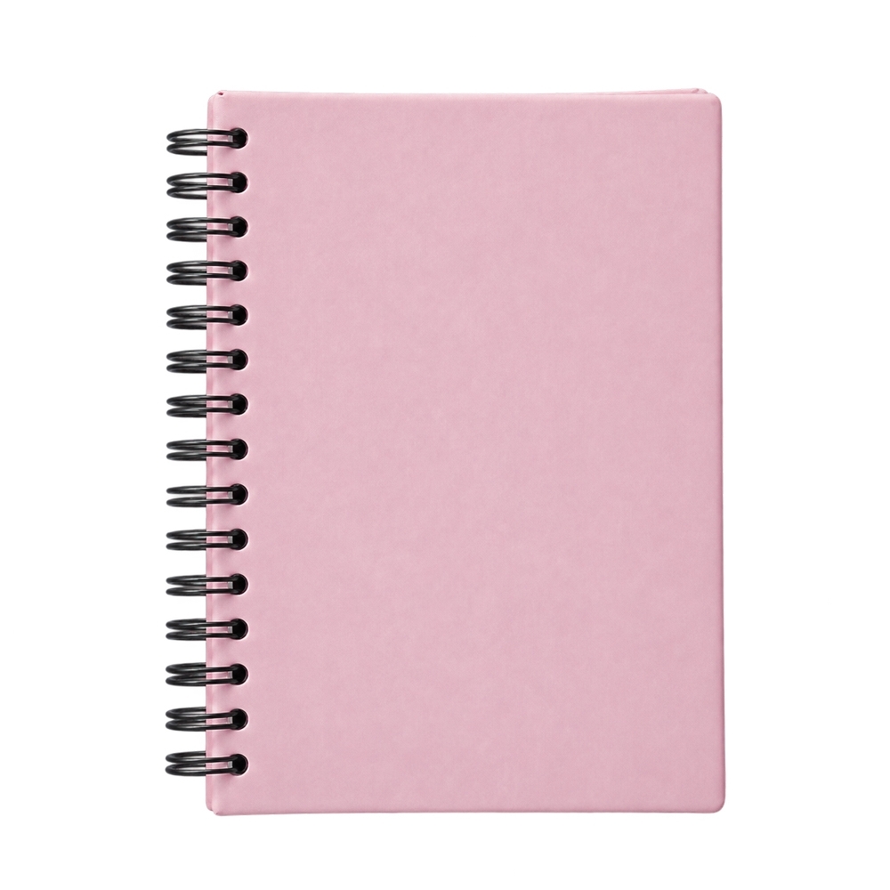 Agenda Diária 2027